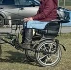 Sulky cavalettie sport shetlander/ mini, Dieren en Toebehoren, Rijtuigen en Koetsen