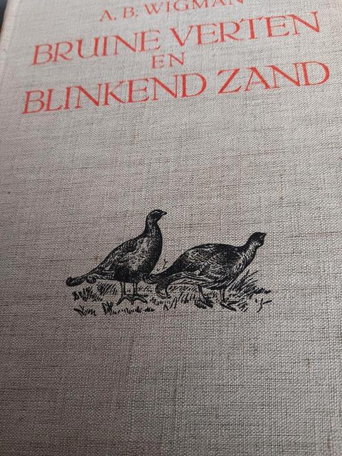 BRUINE VERTEN EN BLINKEND ZAND  door A.B. Wigman, Boeken, Natuur, Zo goed als nieuw, Ophalen of Verzenden