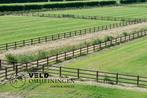 Geschroefde omheining, Opschroef omheining, Afrastering, Dieren en Toebehoren, Weidegang, Sales@veldomheiningen.nl, Schaijk, 4 paarden of pony's of meer