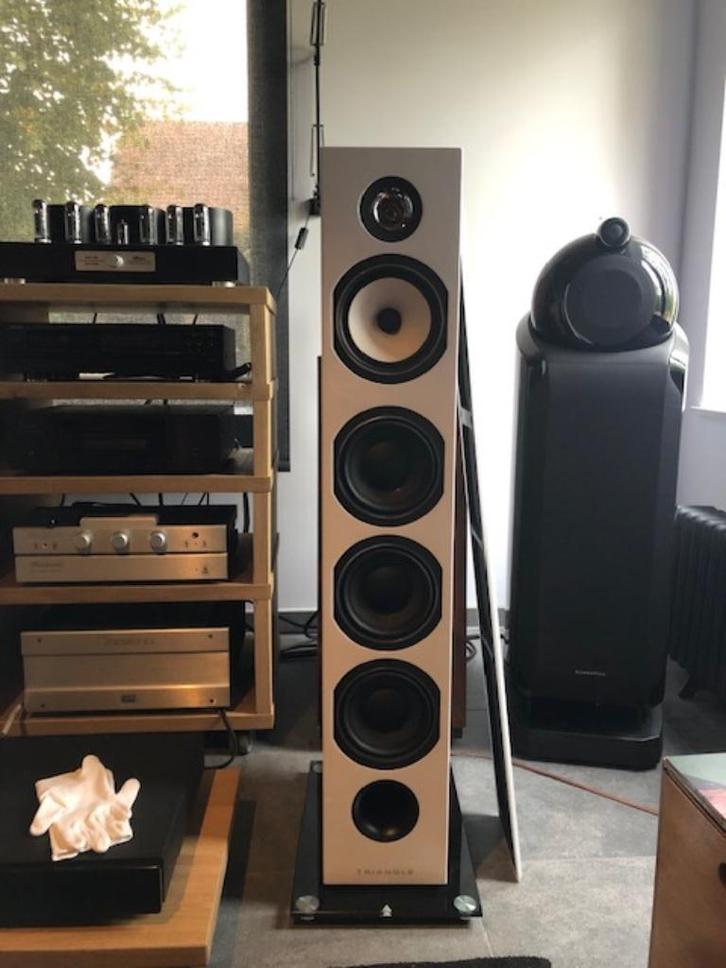 prachtige Triangle Esprit Australe EZ speakers, Audio, Tv en Foto, Luidsprekers, Zo goed als nieuw, Front, Rear of Stereo speakers