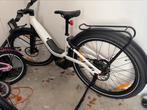 Serial1 Rush Stepthru met Enviolo Auto + 200 EUR accessoires, Ophalen, Nieuw, 50 km per accu of meer, Overige merken
