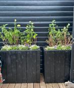 2 grote bloembakken plantenbak bloempot zwart hout, Ophalen, Gebruikt, 100 cm of meer, Tuin
