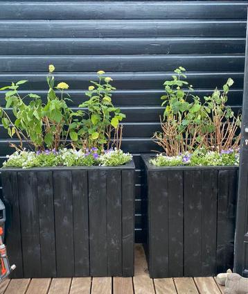 2 grote bloembakken plantenbak bloempot zwart hout beschikbaar voor biedingen