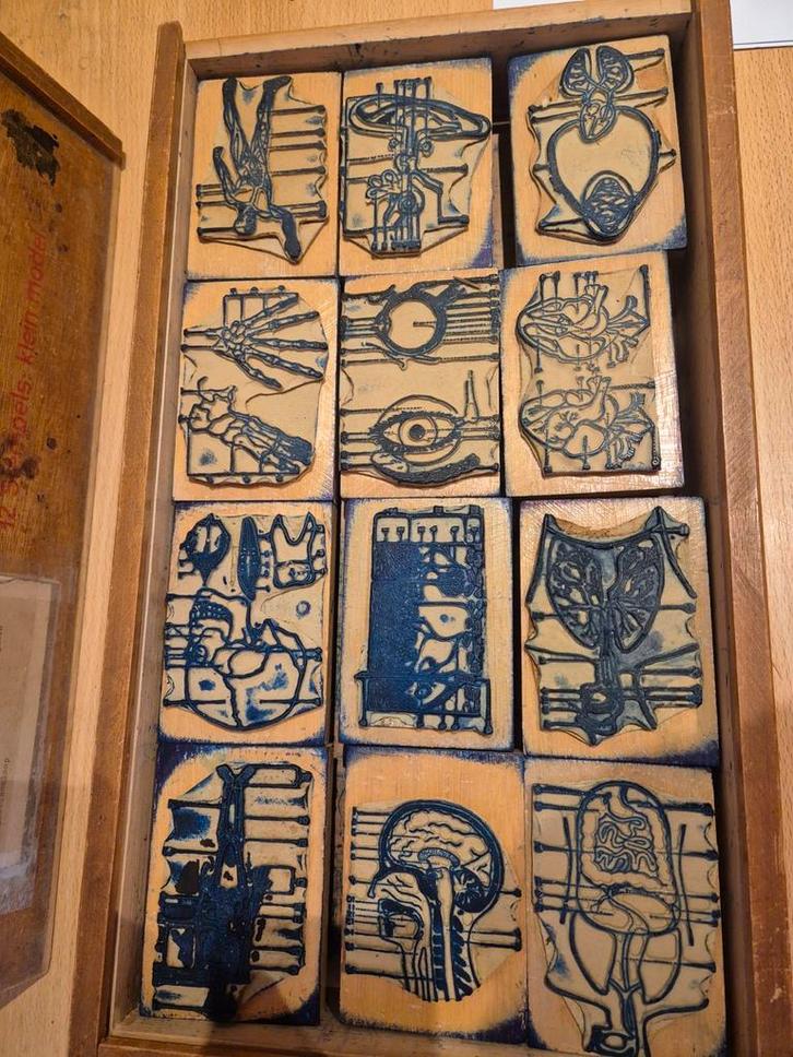 Oude tekendoos met anatomie stempels, Antiek en Kunst, Antiek | Overige Antiek, Ophalen