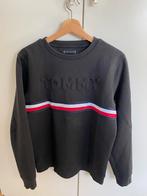 Trui Tommy Hilfiger maat 176, Gebruikt, Trui of Vest, Ophalen of Verzenden, Tommy Hilfiger
