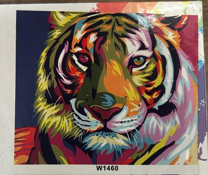 Verfpakketten schilderen op nummer 40x50 cm, Hobby en Vrije tijd, Schilderen, Nieuw, Schilderen op nummer, Ophalen of Verzenden