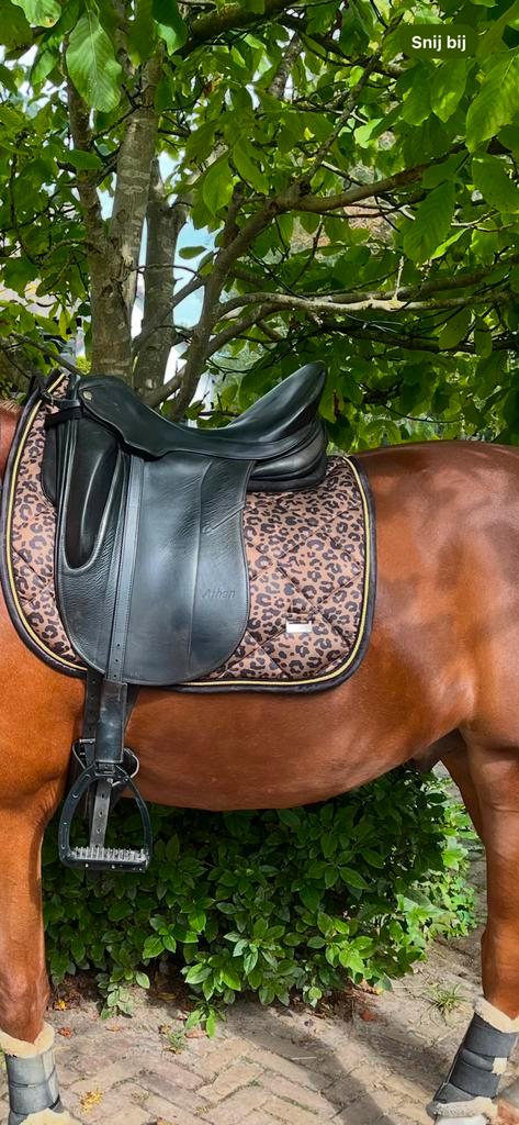 Sommer Esprit Athen DS 17,5 inch en Childeric DSG 16,5, Dieren en Toebehoren, Paarden en Pony's | Zadels, Gebruikt, Dressuur, Ophalen of Verzenden