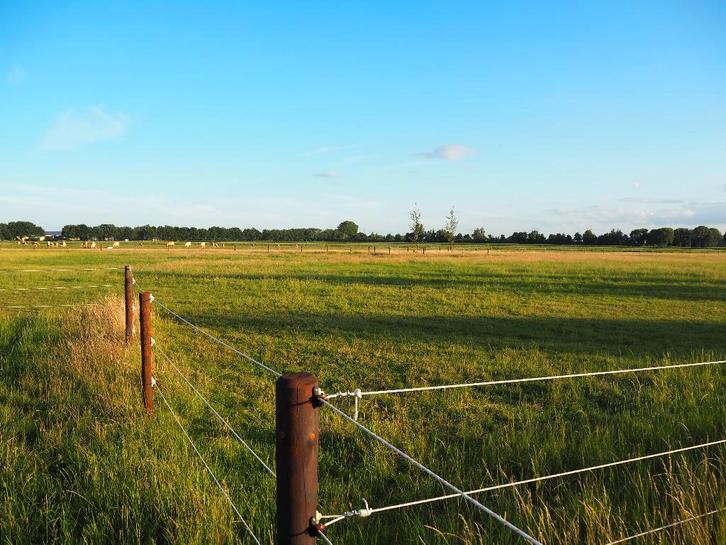 weidegang, Dieren en Toebehoren, Stalling en Weidegang, Weidegang