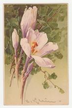 Bloemen.  Cath. Klein.  Illustrateurs., Verzenden, Voor 1920, Ongelopen, Overige thema's