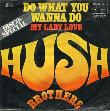 HUSH BROTHERS  -  Do what you wanna do beschikbaar voor biedingen