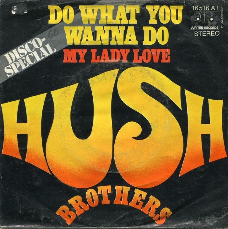 HUSH BROTHERS  -  Do what you wanna do, Cd's en Dvd's, Vinyl Singles, Gebruikt, Single, Pop, 7 inch, Ophalen of Verzenden