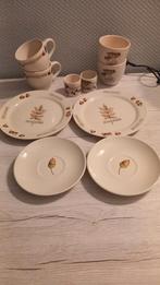 Jet servies herfst, Ophalen