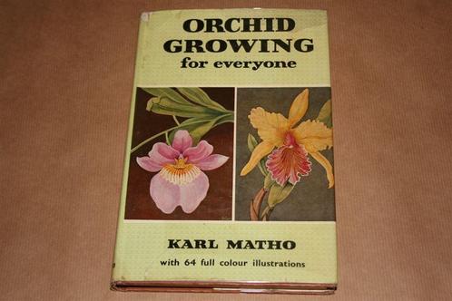 Orchideeën kweken — Voor iedereen, tropisch & subtropisch, Boeken, Wonen en Tuinieren, Gelezen, Ophalen of Verzenden