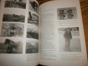 paarden op klompen sandalen en schoenen met afbeeldingen beschikbaar voor biedingen