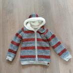 Heerlijk warm vest jongen maat 116 Dirkje, Ophalen of Verzenden, Zo goed als nieuw, Jongen, Trui of Vest
