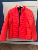 Gaastra dames winterjas - oranje - maat XL, Gaastra, Maat 46/48 (XL) of groter, Oranje, Ophalen of Verzenden