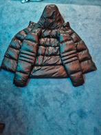 Zavetti Canada Jas, Maat 52/54 (L), Zavetti Canada, Zwart, Ophalen of Verzenden