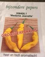 Peper zaden madame jeanette, Tuin en Terras, Overige soorten, Volle zon, Eenjarig, Ophalen of Verzenden