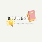 Bijles: Ak, wis a, scheikunde, bio, eco, engels & nederlands