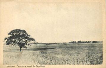 (387-154-013) Lunteren Panorama vanaf de Goudsberg beschikbaar voor biedingen