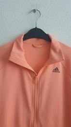 Adidas Jasje - Maat L, Adidas, Maat 42/44 (L), Oranje, Ophalen of Verzenden
