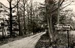 Lintelo - Pension-Boerderij - Nieuw-Rensink, Ophalen of Verzenden, 1940 tot 1960, Ongelopen, Gelderland