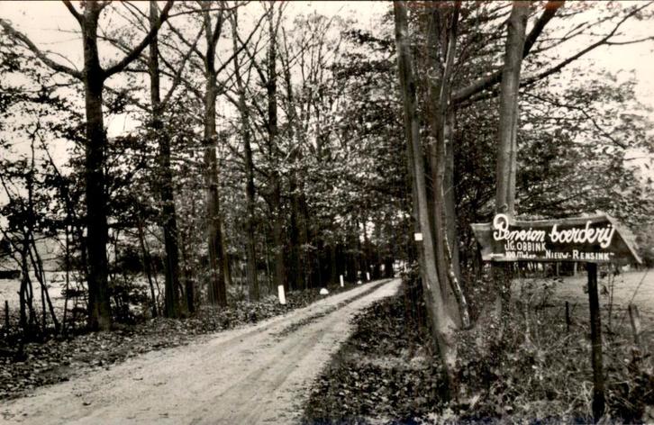 Lintelo - Pension-Boerderij - Nieuw-Rensink, Verzamelen, Ansichtkaarten | Nederland, Ongelopen, Gelderland, 1940 tot 1960, Ophalen of Verzenden