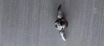 spinner uit harry potter, Ophalen of Verzenden, Nieuw, Overige typen