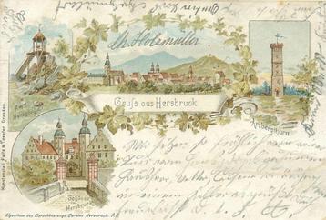 (701-273-029) Hersbruck Litho beschikbaar voor biedingen