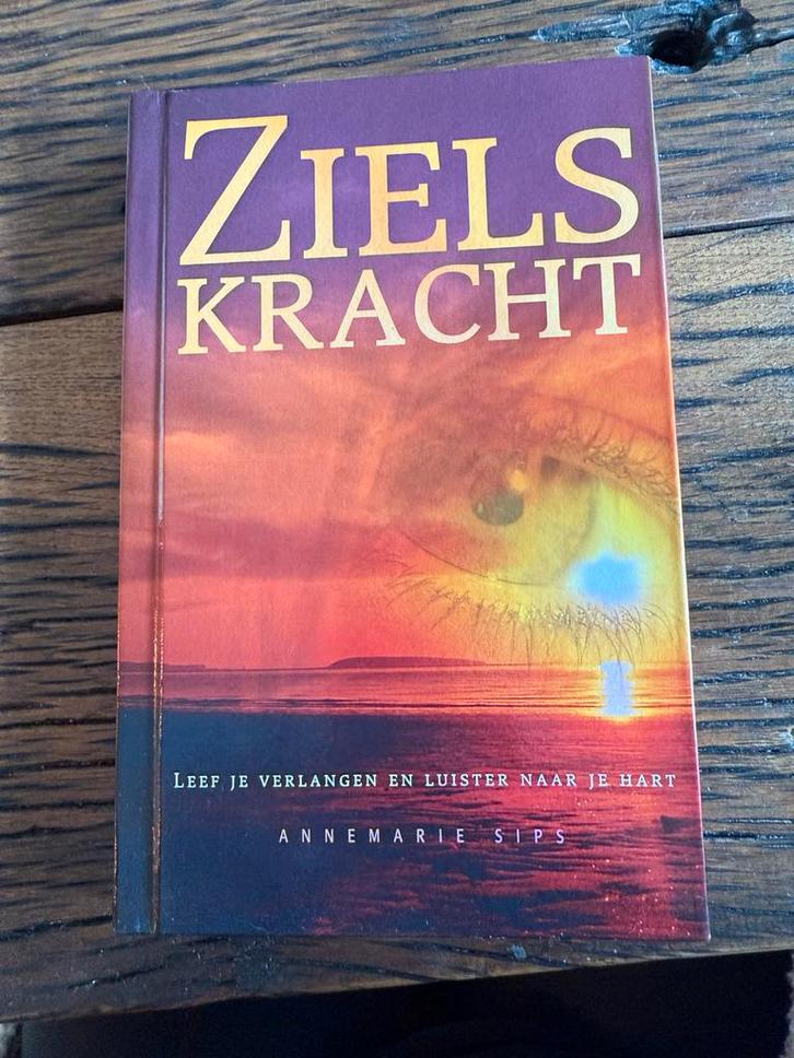 Zielskracht - Annemarie Sips, Boeken, Politiek en Maatschappij, Zo goed als nieuw, Maatschappij en Samenleving, Nederland, Ophalen of Verzenden