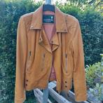 Geel leren jasje Goosecraft Biker 405 M/L, Maat 38/40 (M), Goosecraft, Geel, Ophalen of Verzenden