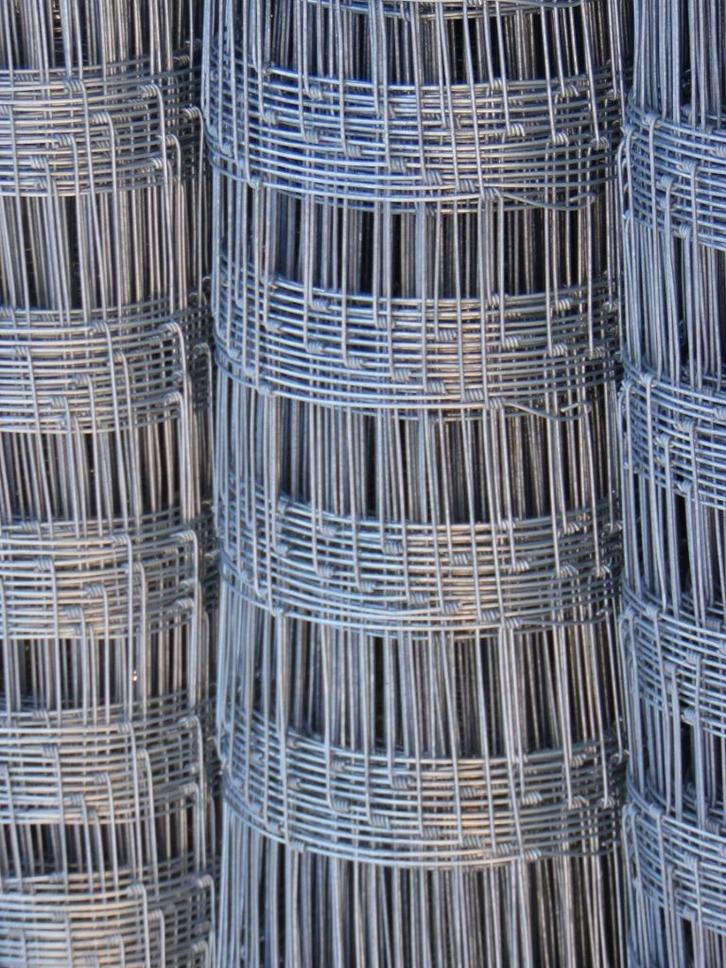Schapengaas | Opruiming | 120cm | 50 meter, Tuin en Terras, Gaas en Draad, Nieuw, Gaas, 20 meter of meer, Ophalen of Verzenden