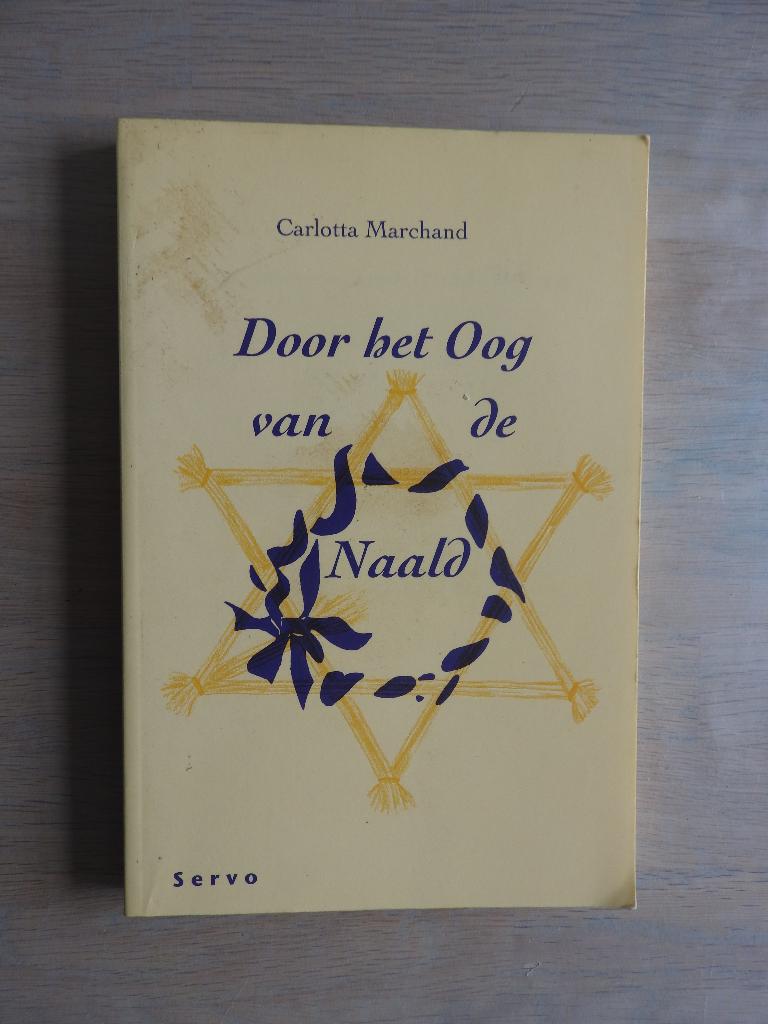 Door het Oog van de Naald - Joods meisje, Boeken, Ophalen of Verzenden, Tweede Wereldoorlog, Zo goed als nieuw, Overige onderwerpen