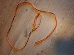 Puppenriem met halsband, Dieren en Toebehoren, Ophalen of Verzenden, Zo goed als nieuw