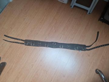 Harry'sHorse padded longeersingel FULL €15,- beschikbaar voor biedingen