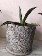 Vintage bloempotten 3D Ornamenten PTMD Collectie diverse, Tuin en Terras, Bloempotten, Gebruikt, Rond, Binnen, Ophalen of Verzenden