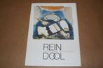 Rein Dool. Schilderijen, gouaches, aquarellen, tekeningen., Ophalen of Verzenden, Gelezen
