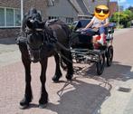 Menwagen, Dieren en Toebehoren, Rijtuigen en Koetsen, Gebruikt