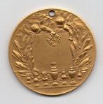 Penning Schaken Gemeente Rheden, Ophalen of Verzenden, Overige materialen, Nederland