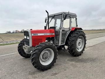 Massey Ferguson 365