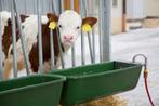 Ophang drinkbak kunststof 100cm met vlotter, Dieren en Toebehoren, Meerdere dieren, Varken
