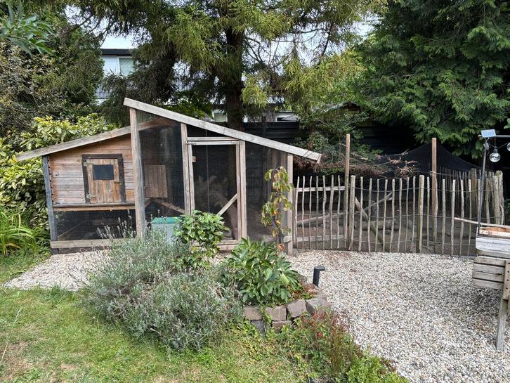 Groot kippenhok met extra ren en toebehoren, Dieren en Toebehoren, Pluimvee | Toebehoren, Gebruikt, Kippenhok of Kippenren, Ophalen