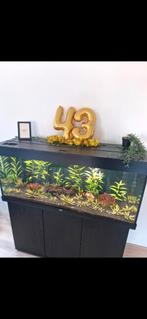 Aquarium, pomp & Juwel helialux plus app controll, Ophalen of Verzenden