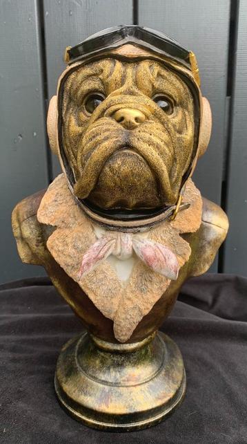 Bulldog gekleed als Piloot beschikbaar voor biedingen