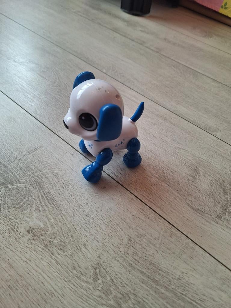 Robothondje, Ophalen of Verzenden, Jongen of Meisje