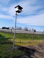 Torenvalk kasten - Nieuw!, Ophalen of Verzenden, Nieuw