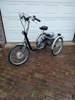 Driewieler vanraam 2 elektrische, Ophalen of Verzenden