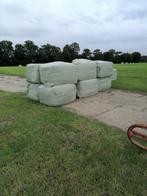 grote balen voer / kuilvoer / hooi, Dieren en Toebehoren, Ophalen, Vee