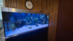 oase highline 400 aquarium, Dieren en Toebehoren, Vissen | Aquaria en Toebehoren, Ophalen, Zo goed als nieuw