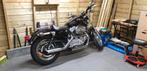 Sportster883, Motoren, Particulier, Chopper